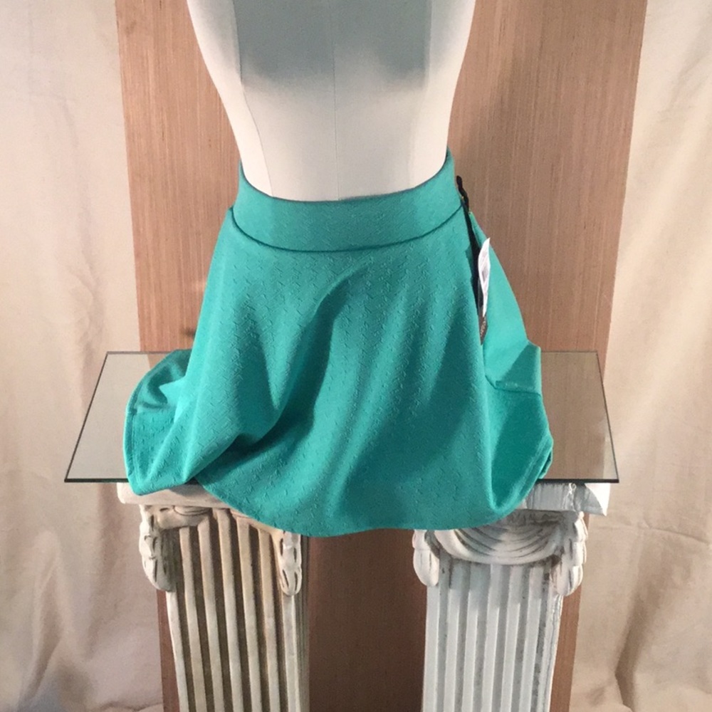 Never worn skirt